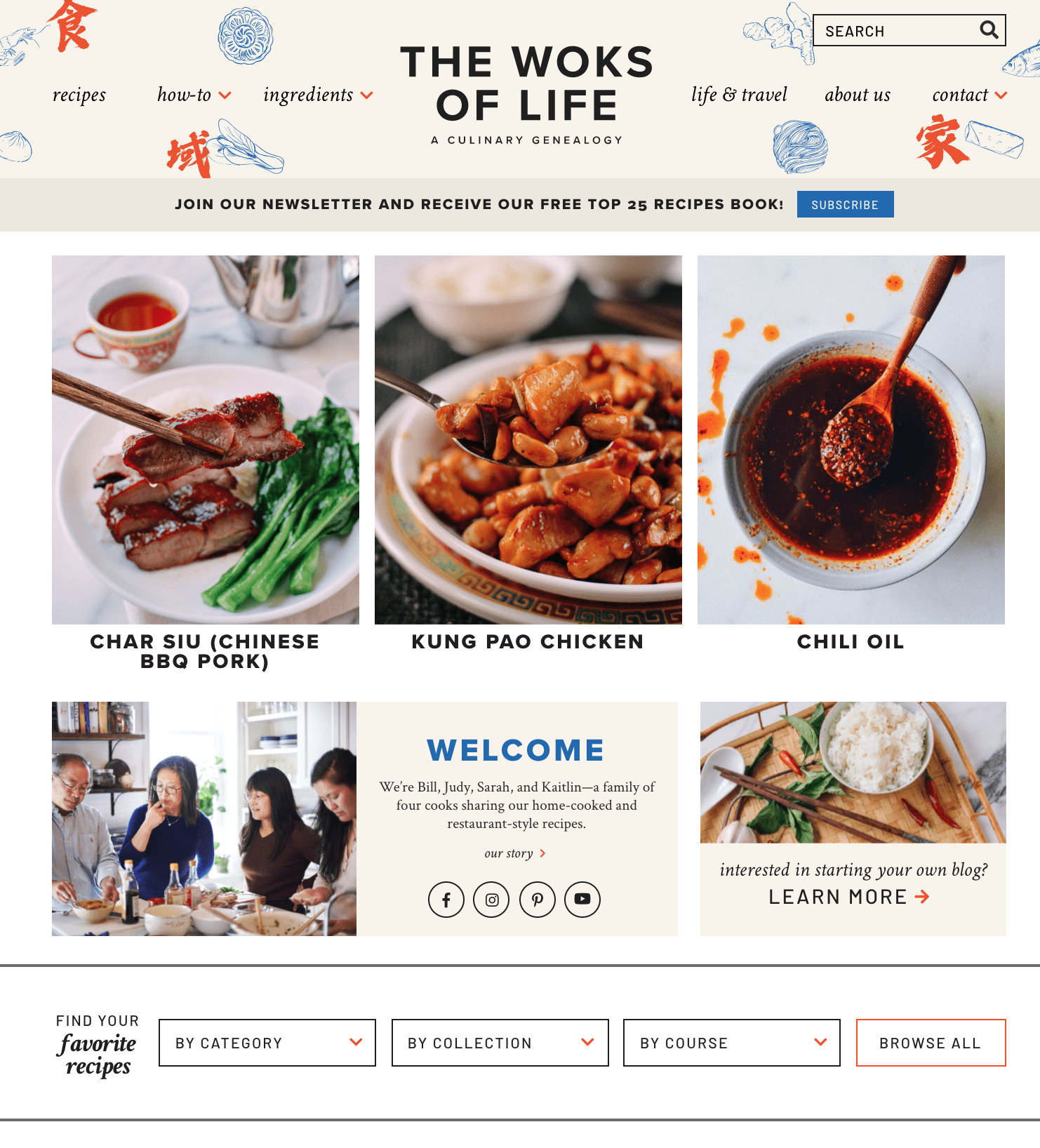 The Woks of Life Homepage Screenshot