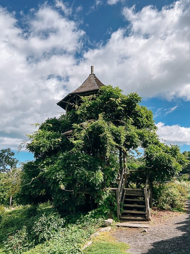 Mohonk Mountain House Wisteria covered tree house, thewoksoflife.com 