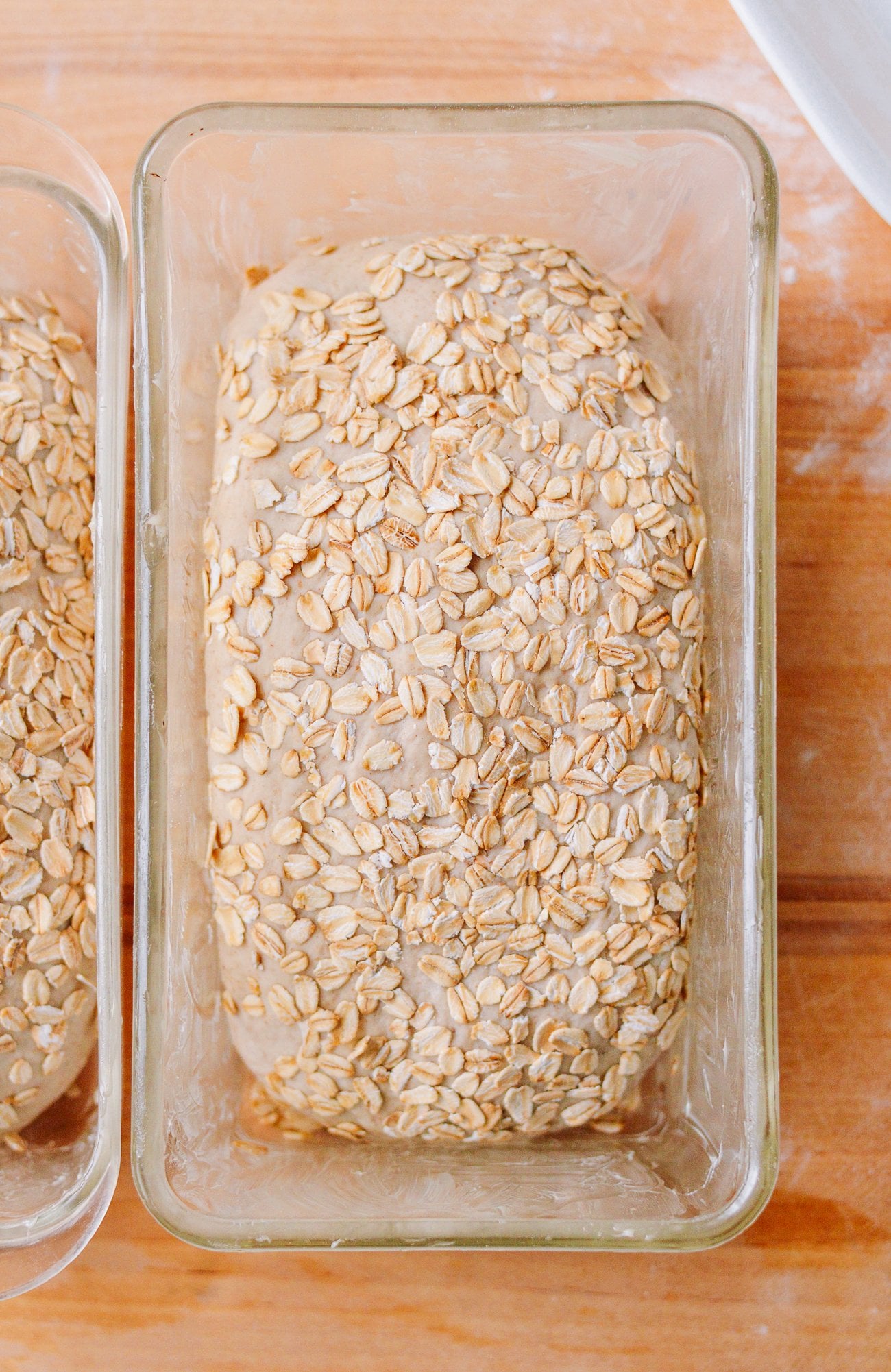 oat covered bread dough in loaf pan