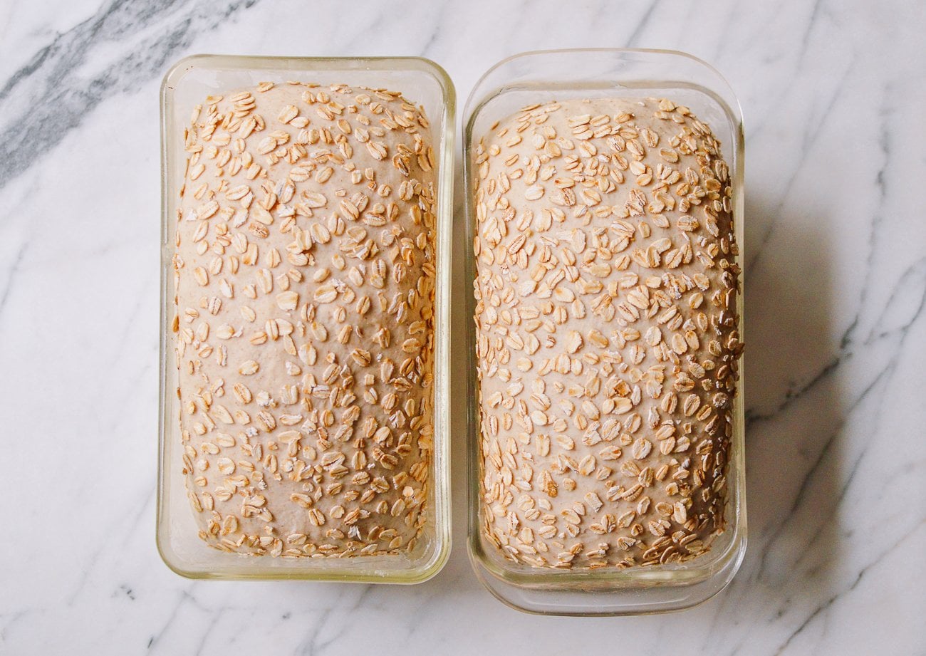 proofed bread loaves before baking