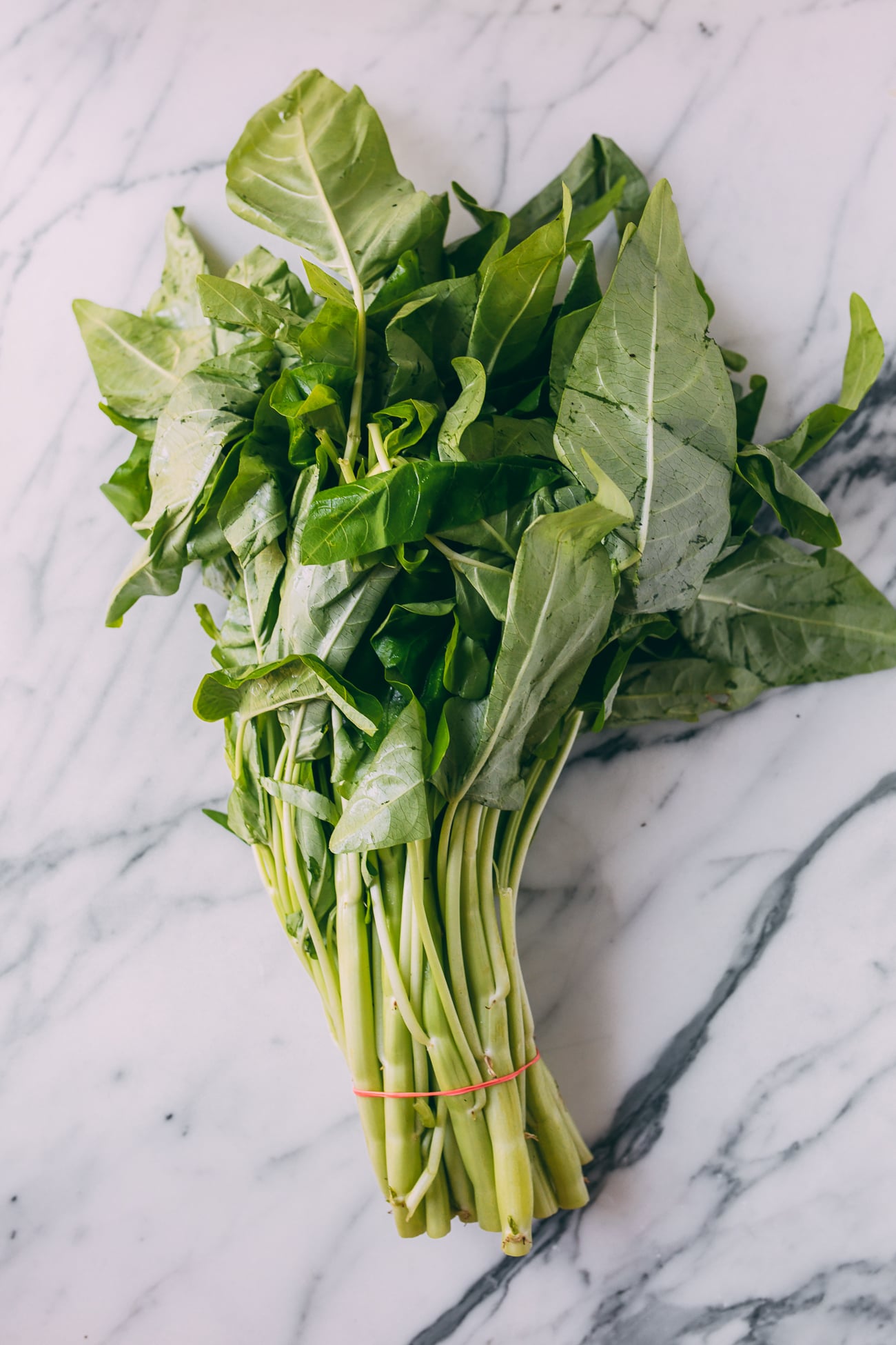 Bunch of white stem water spinach