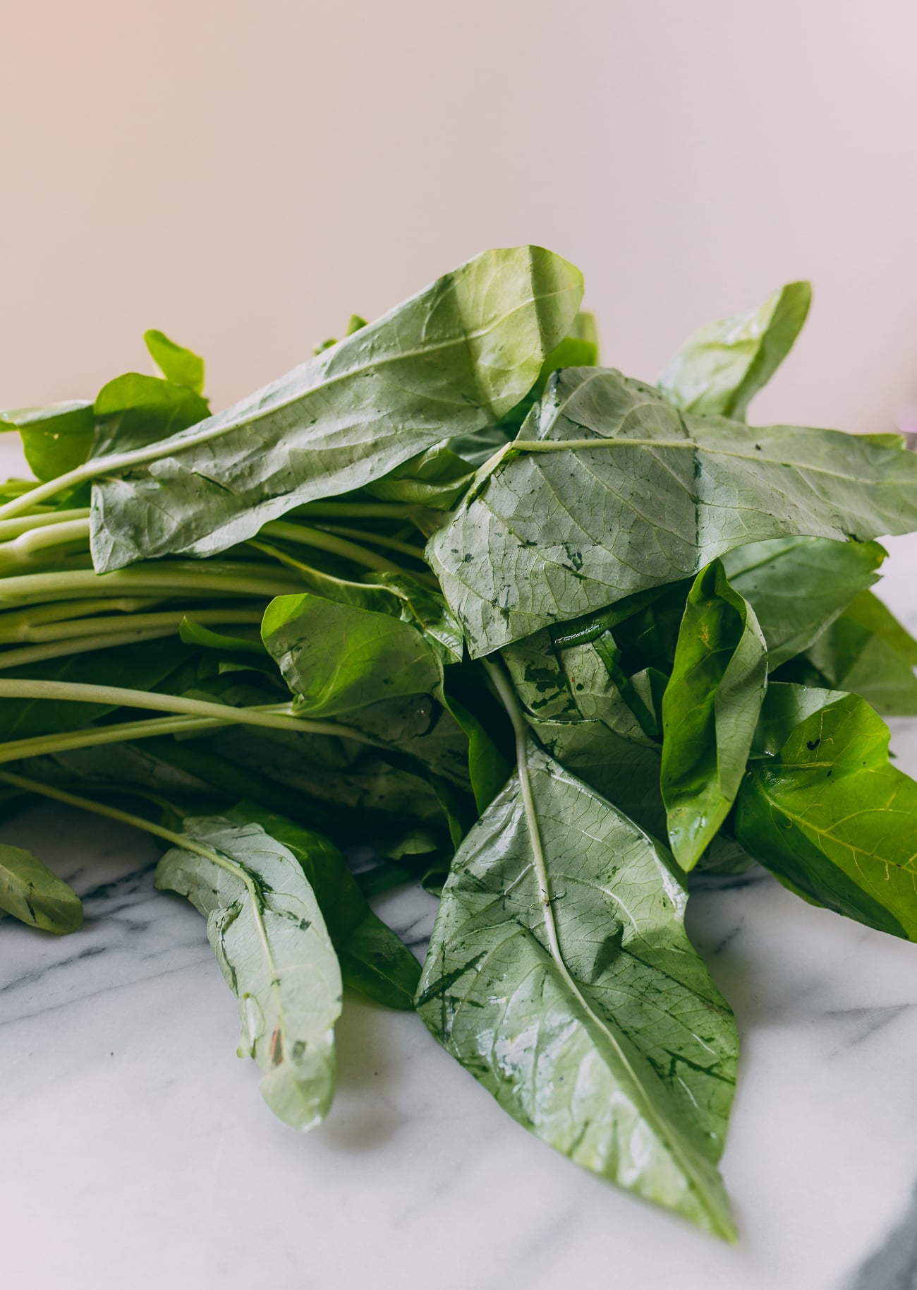 Water spinach leaves