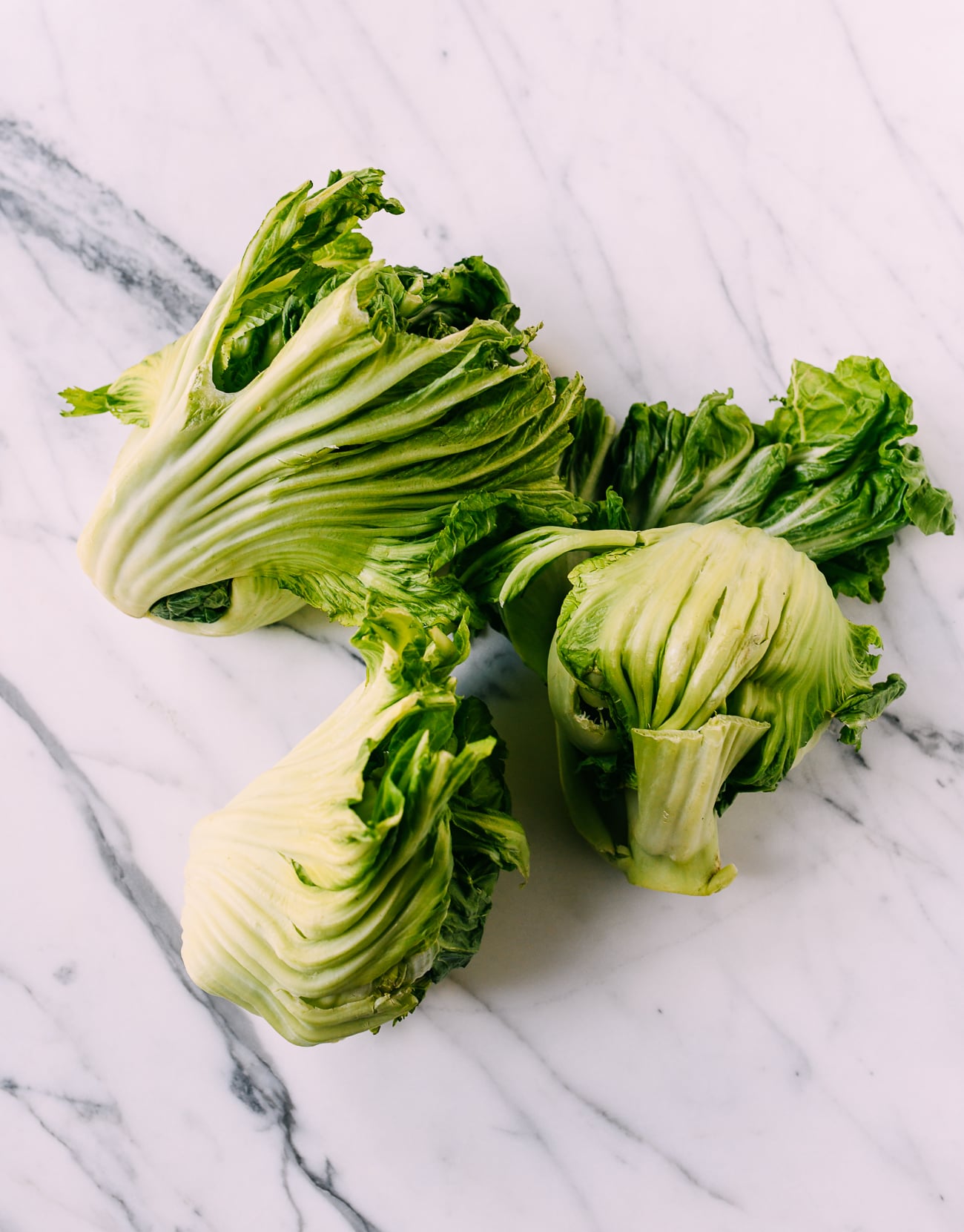 Chinese Mustard Greens (芥菜)