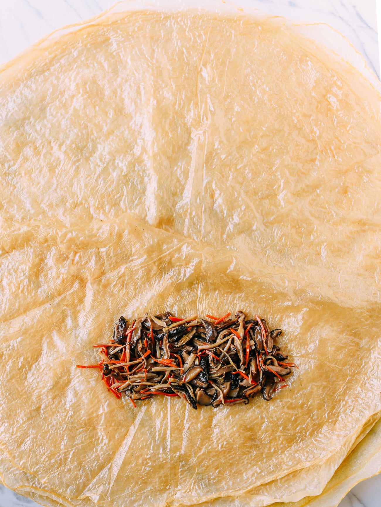 Adding filling to bean curd sheet