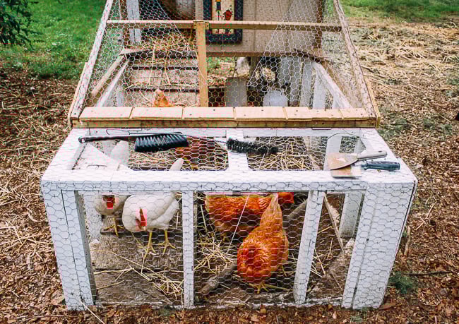 Chicken Coop