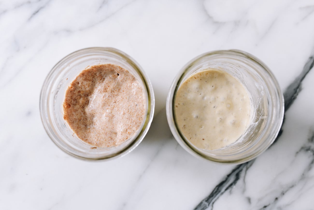 Foamy sourdough starters