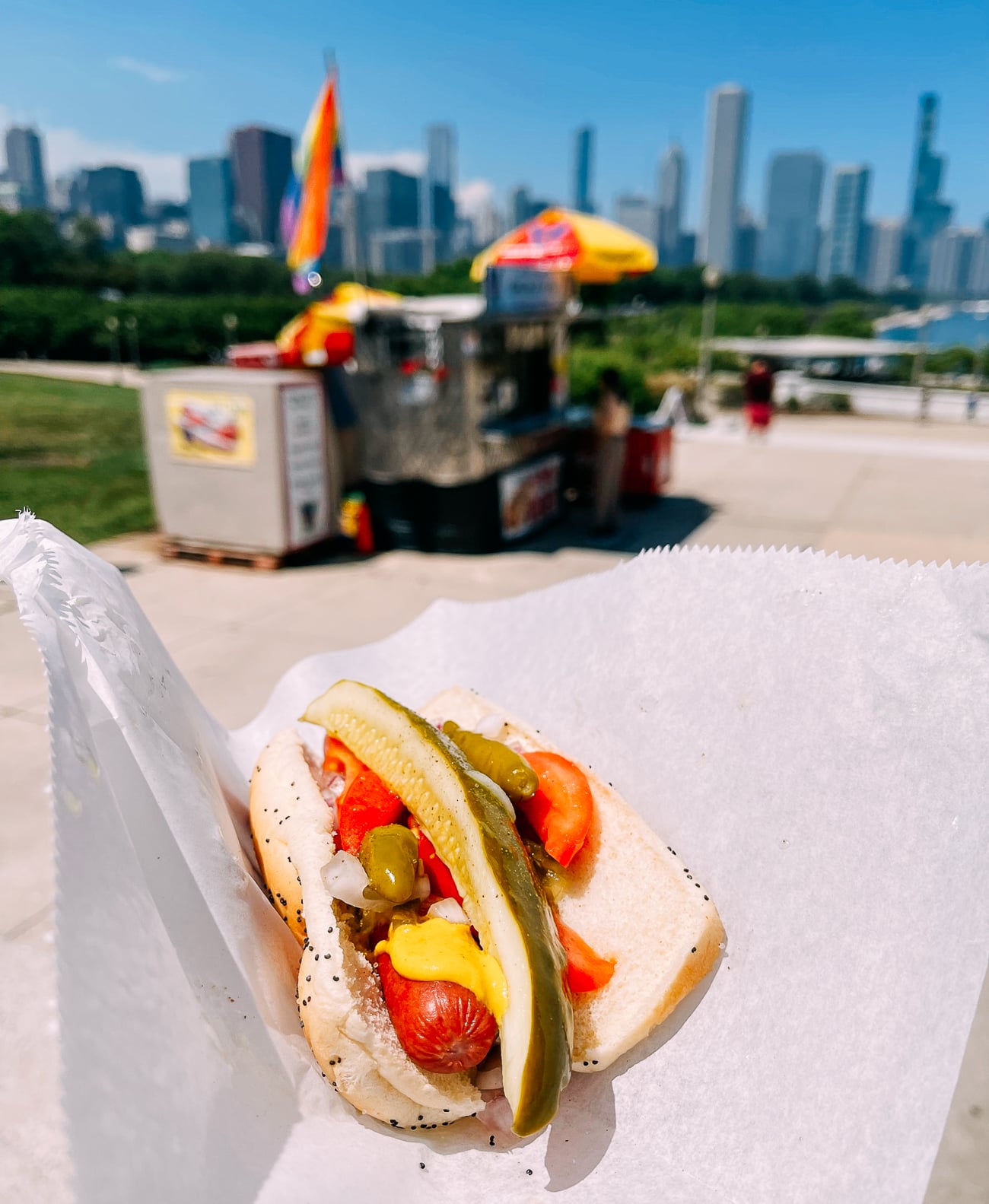 Chicago Style Hot Dog