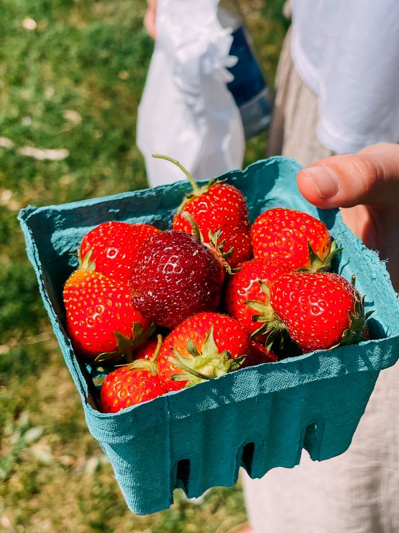 Farmer's Market Strawberries