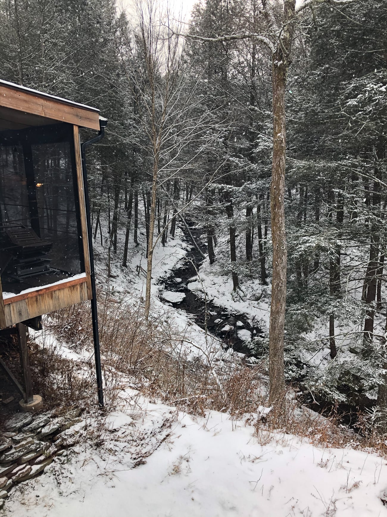 View from Catskills cabin