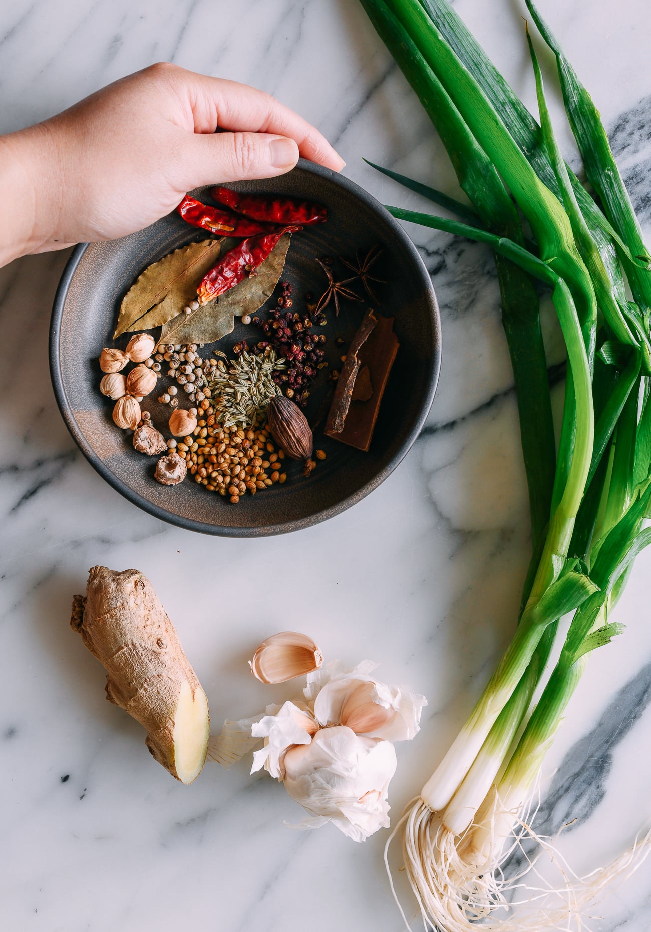 Spices and aromatics for Chinese lamb noodle soup