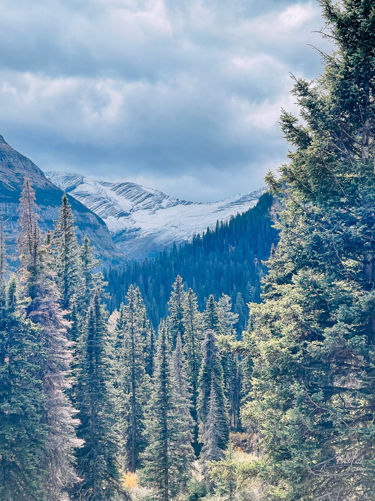 Jackson Glacier Overlook