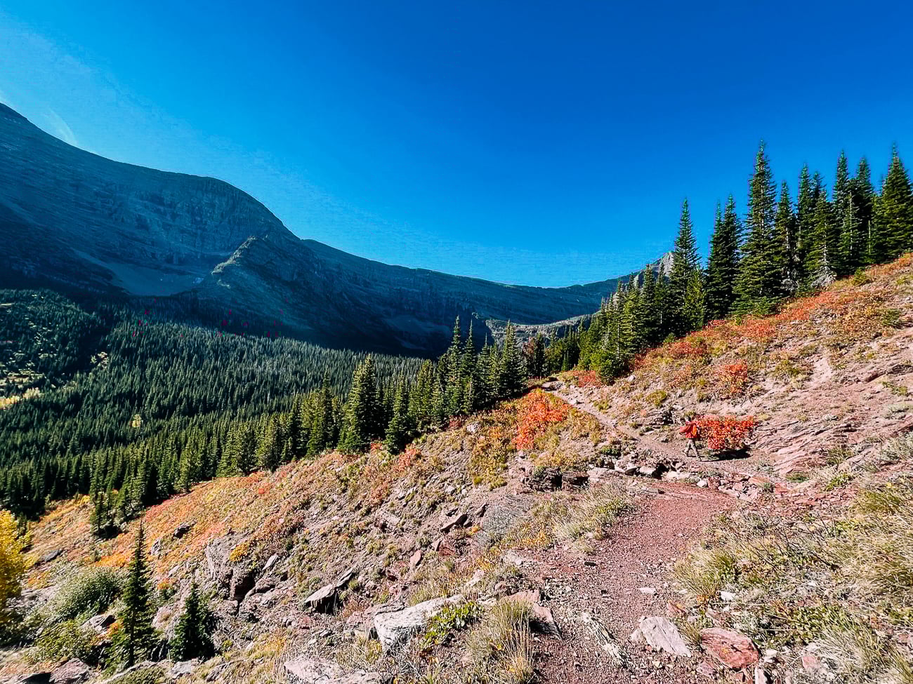 Hiking through meadow