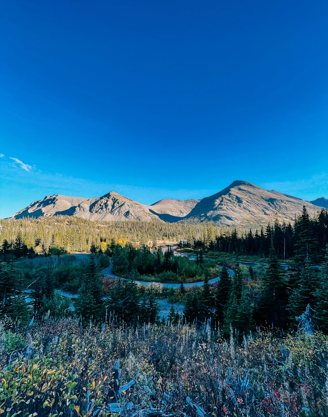 View of Two Medicine Campground