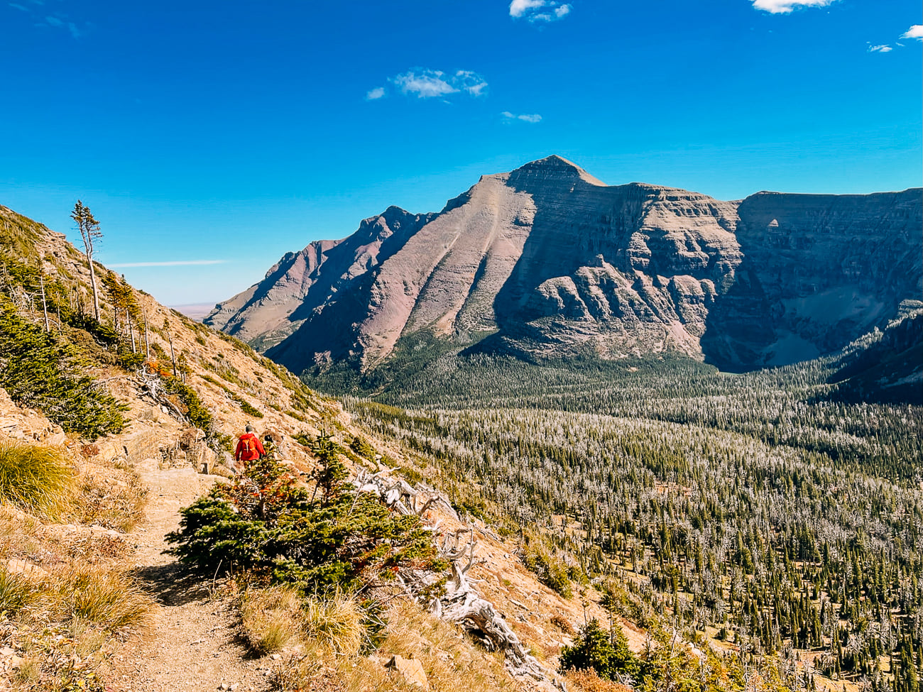 Hiking in Glacier National Park