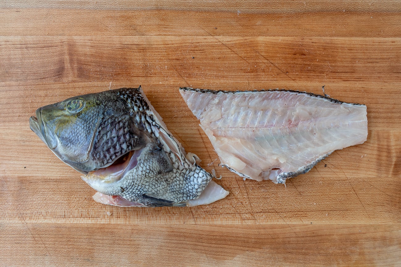 head separated from spine of fish