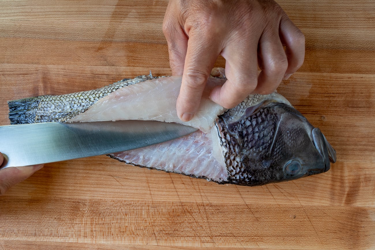filleting a sea bas