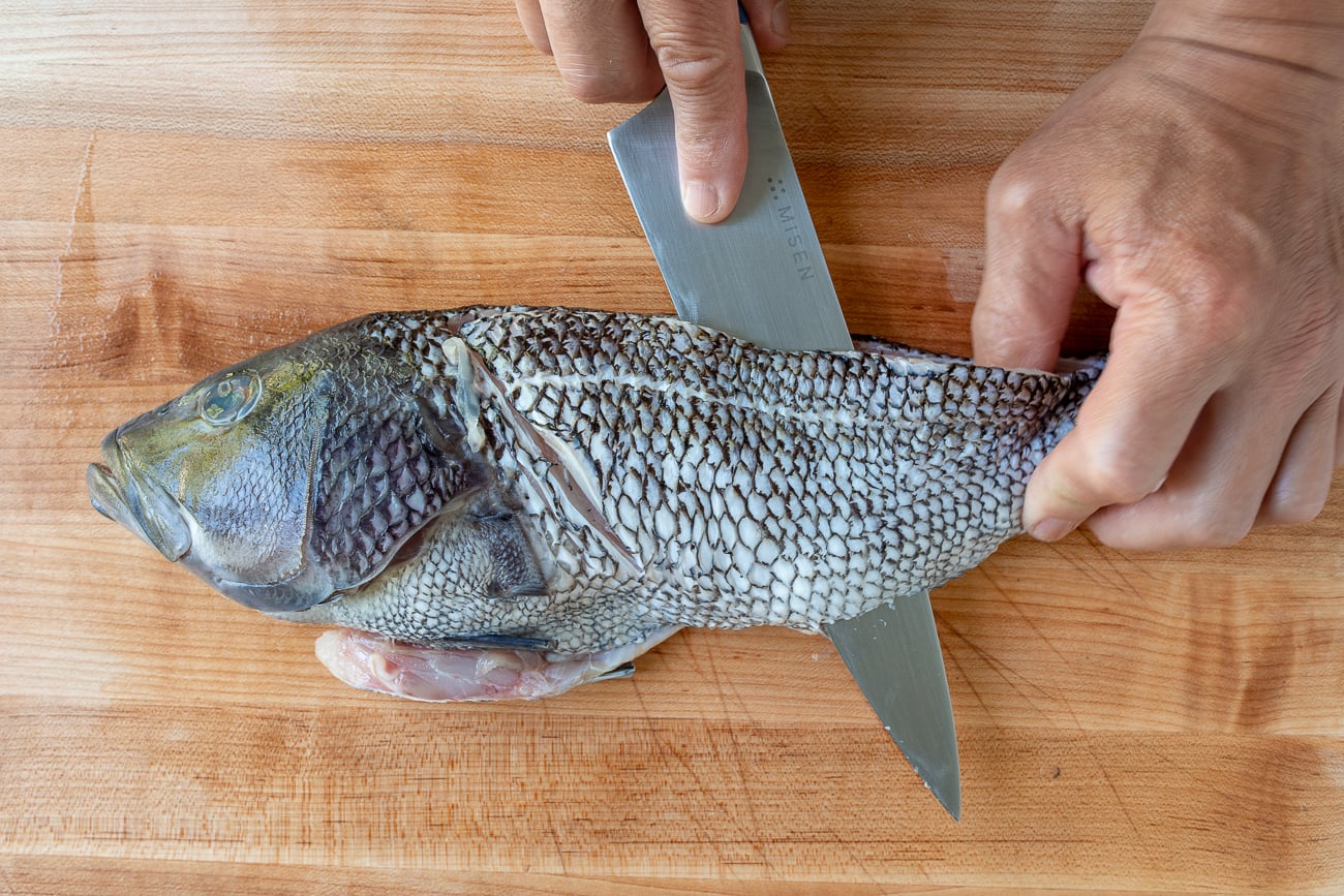 Slicing fillet along backbone