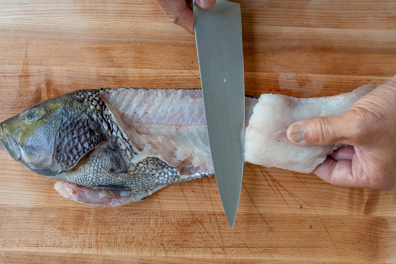 filleting sea bass