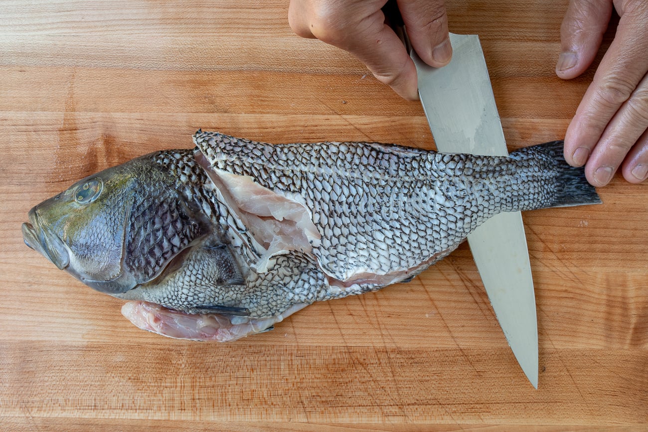Filleting sea bass
