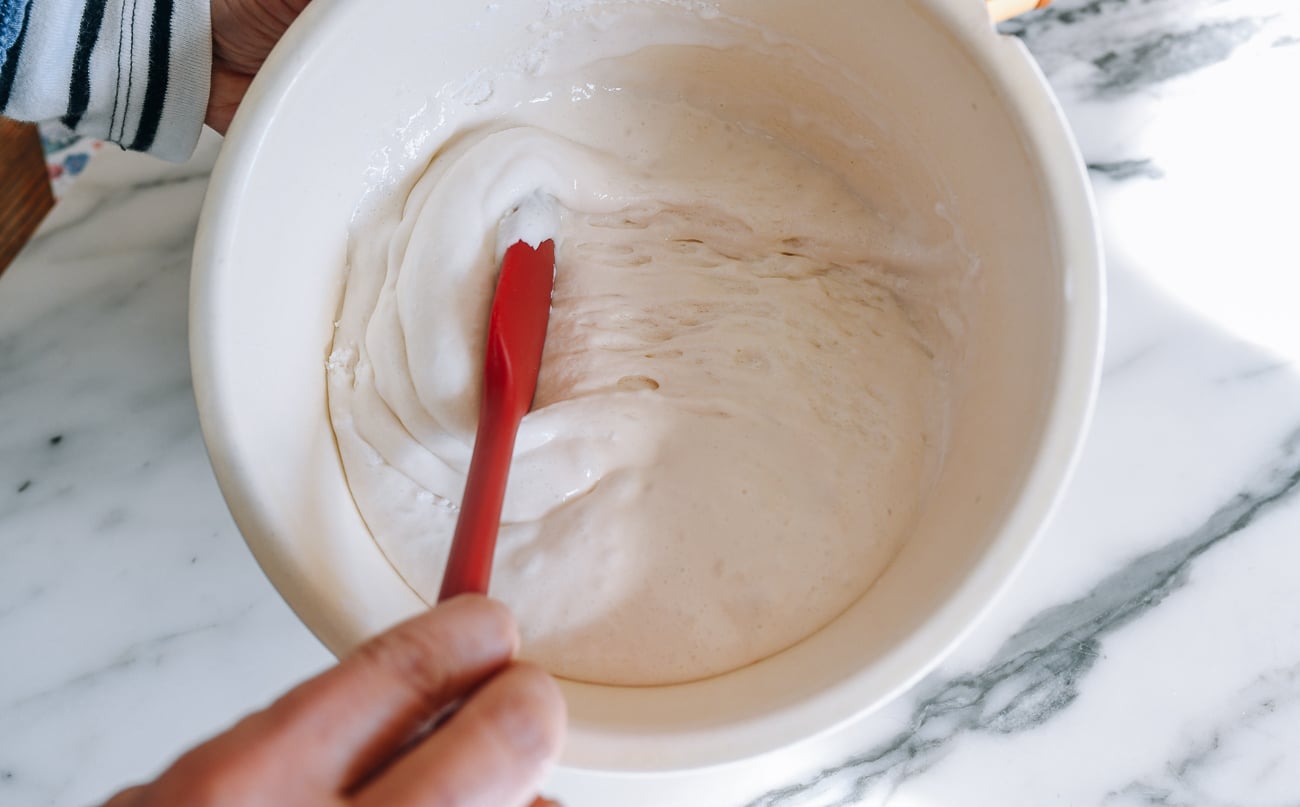 fermented fa gao batter