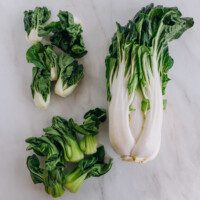 Different Types of Bok Choy