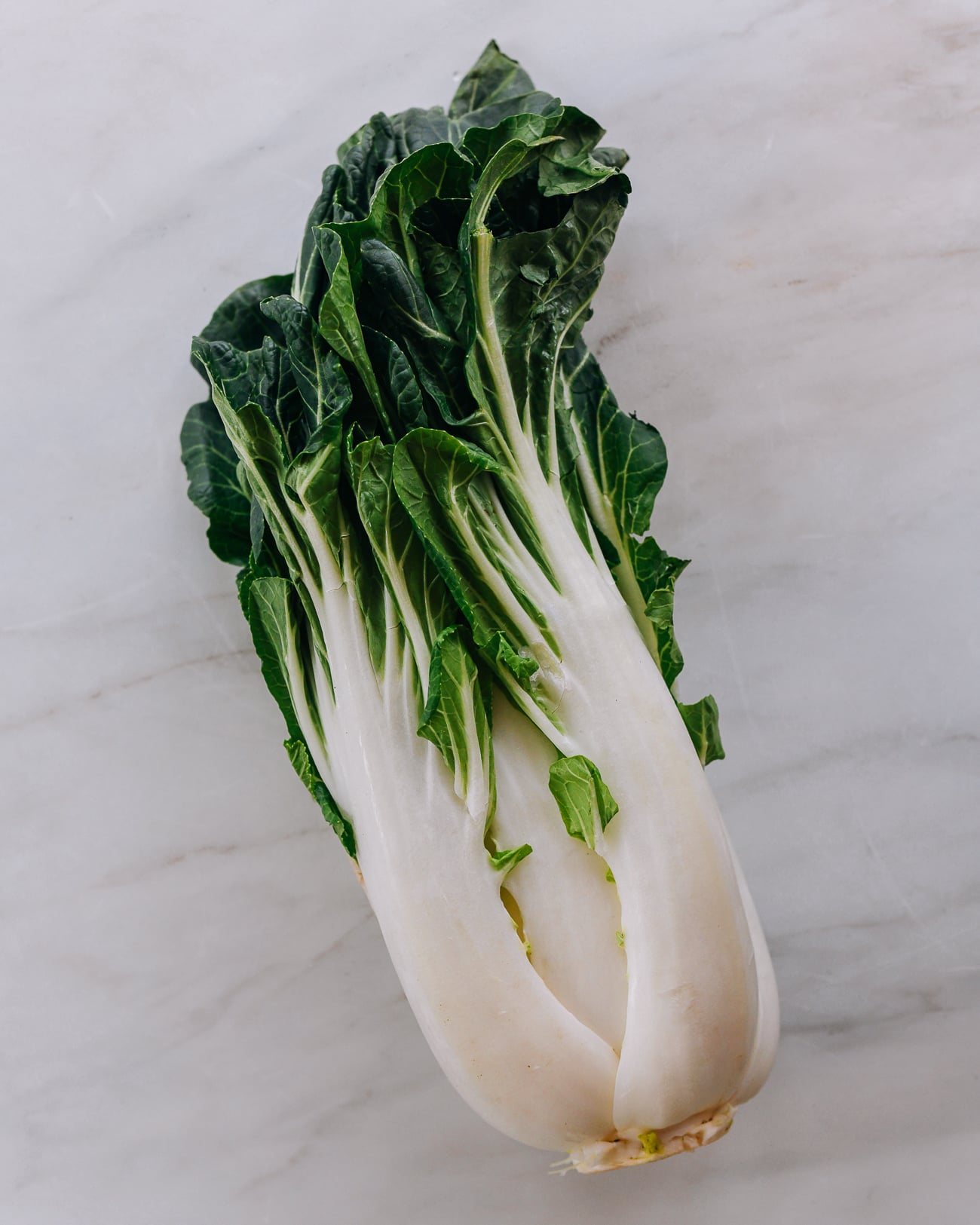 Large Bok Choy