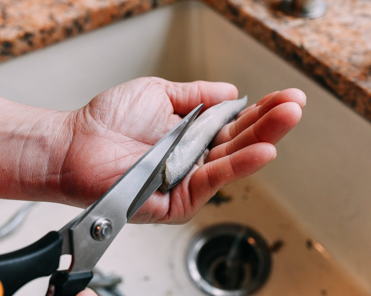 cutting smelt with kitchen shears