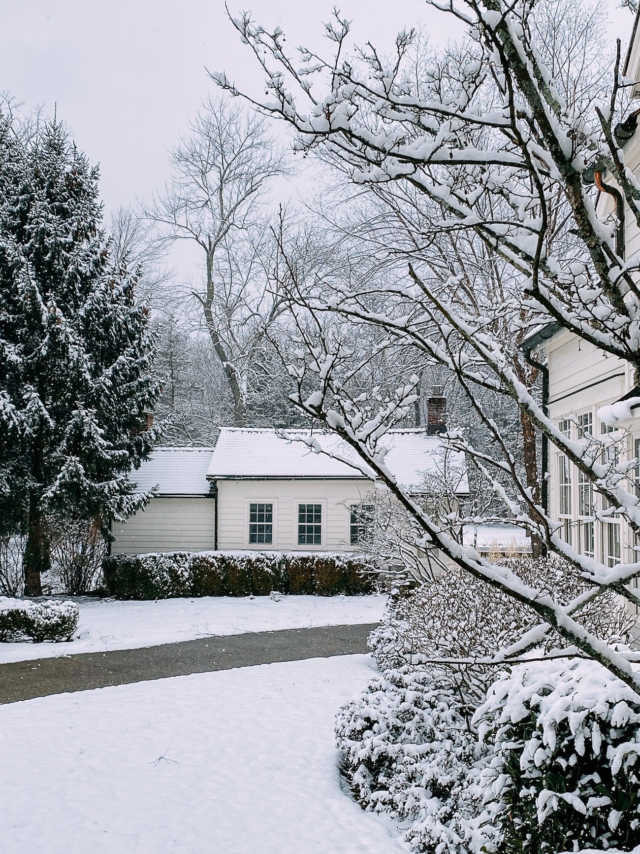 cottage in winter