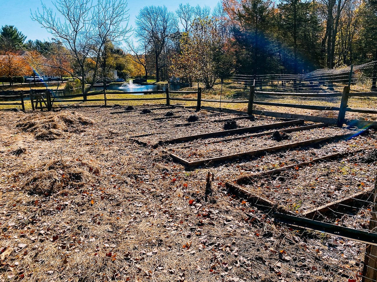 Garden cleared of overgrown weeds.