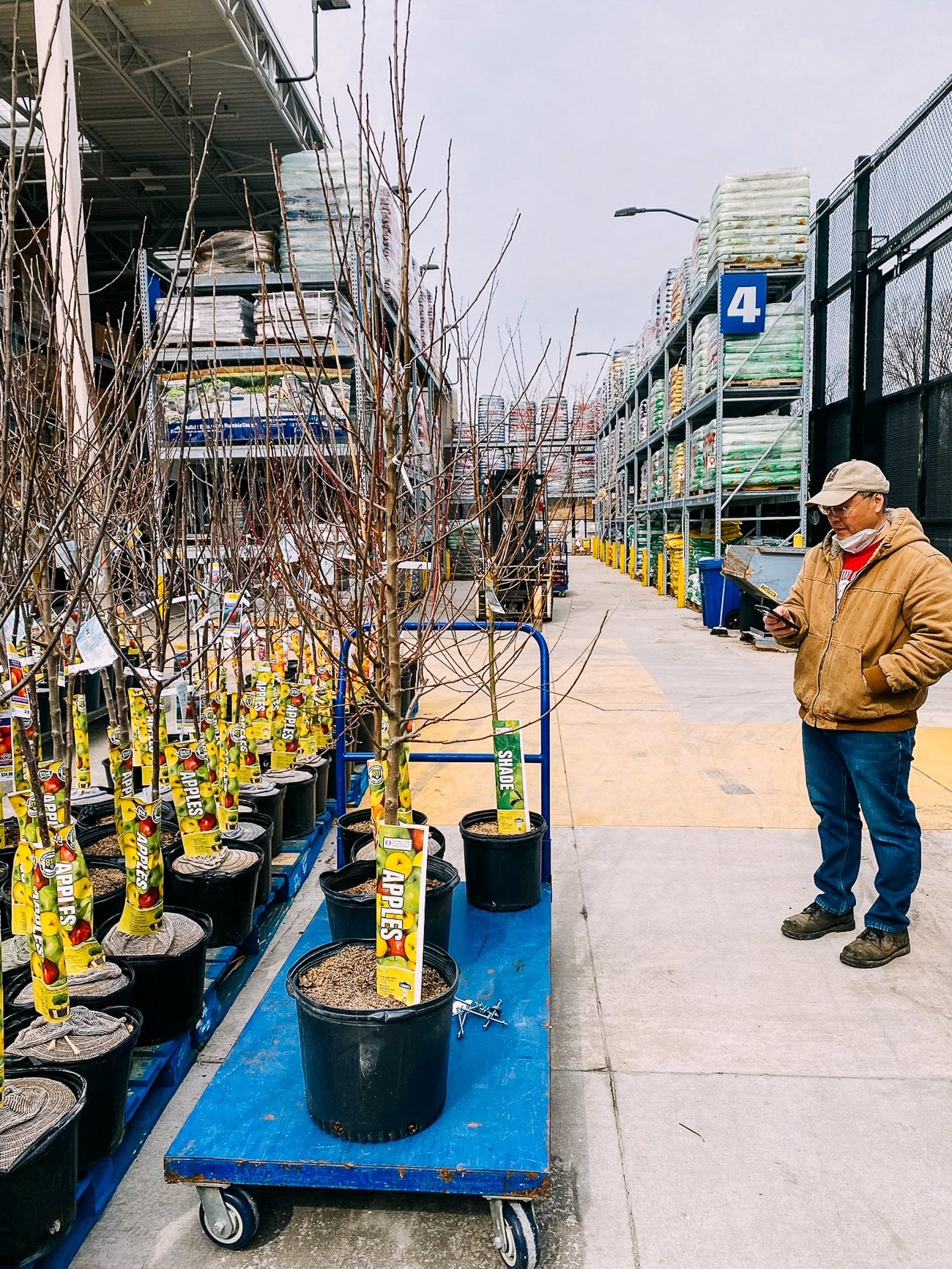 Bill looking at fruit trees to buy