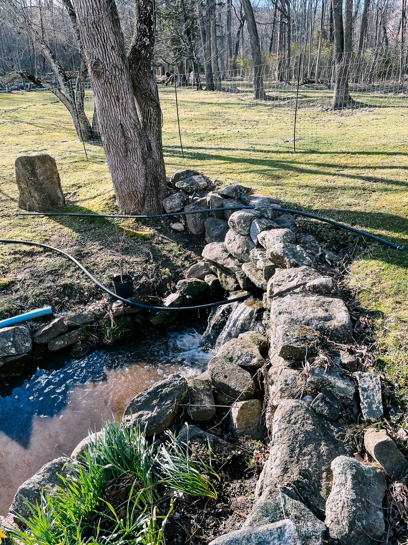 Snaking stream opening