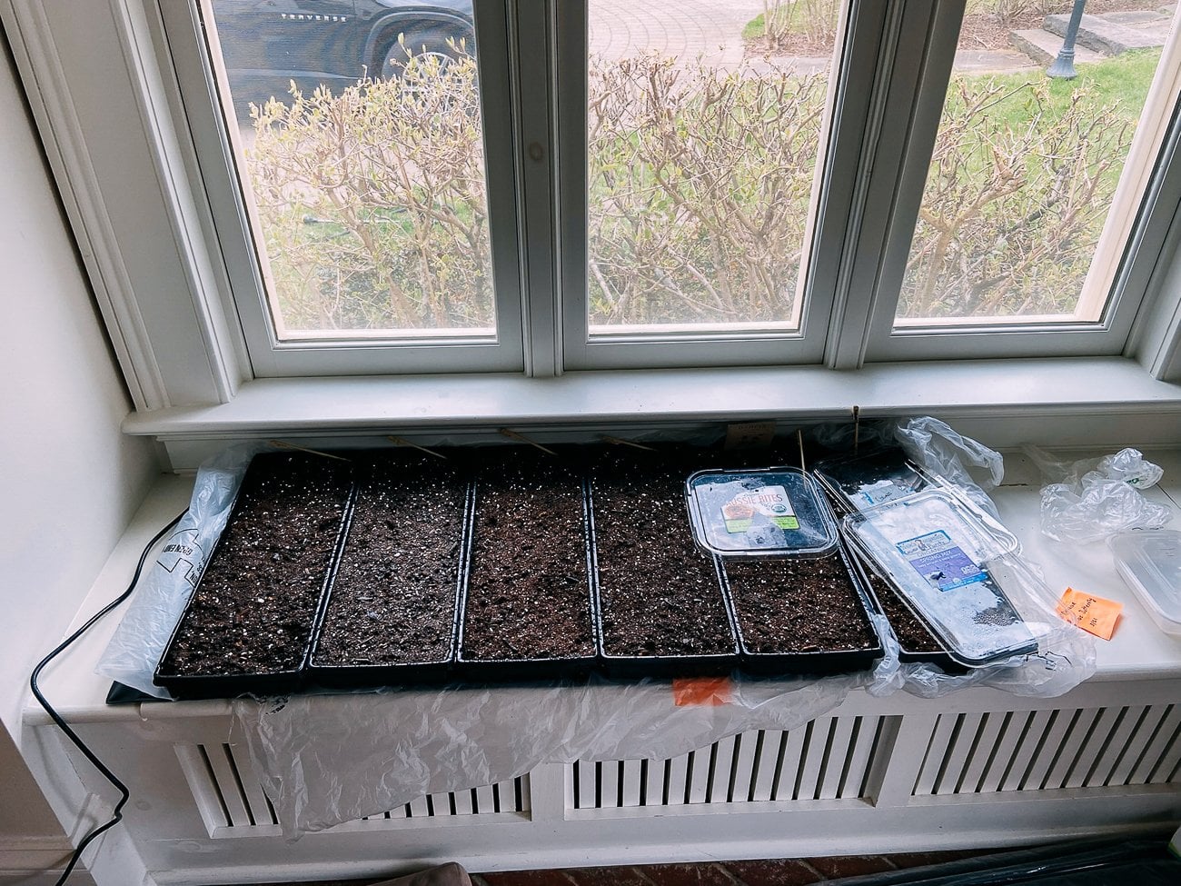 seed trays on heat mats