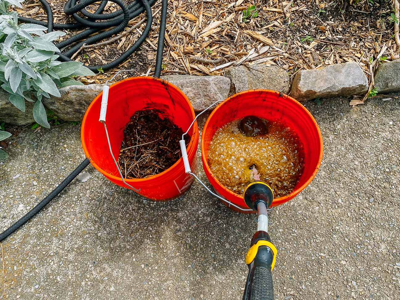 alpaca tea in buckets