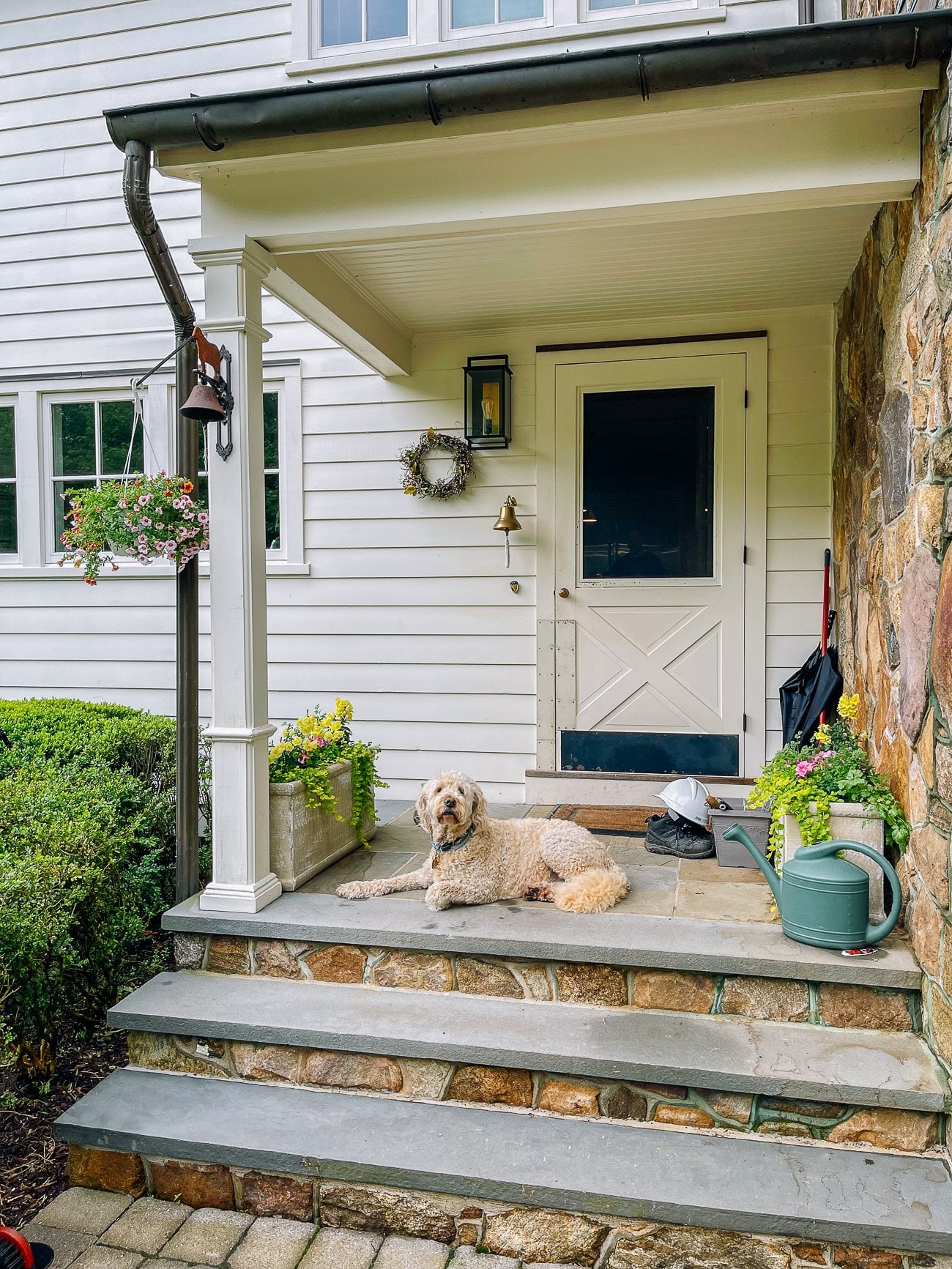 Barley between planters outside kitchen door