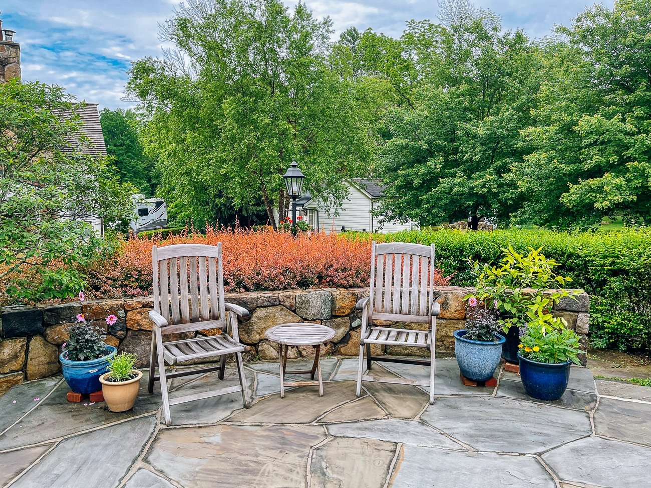 dahlias and bunny tails in pots