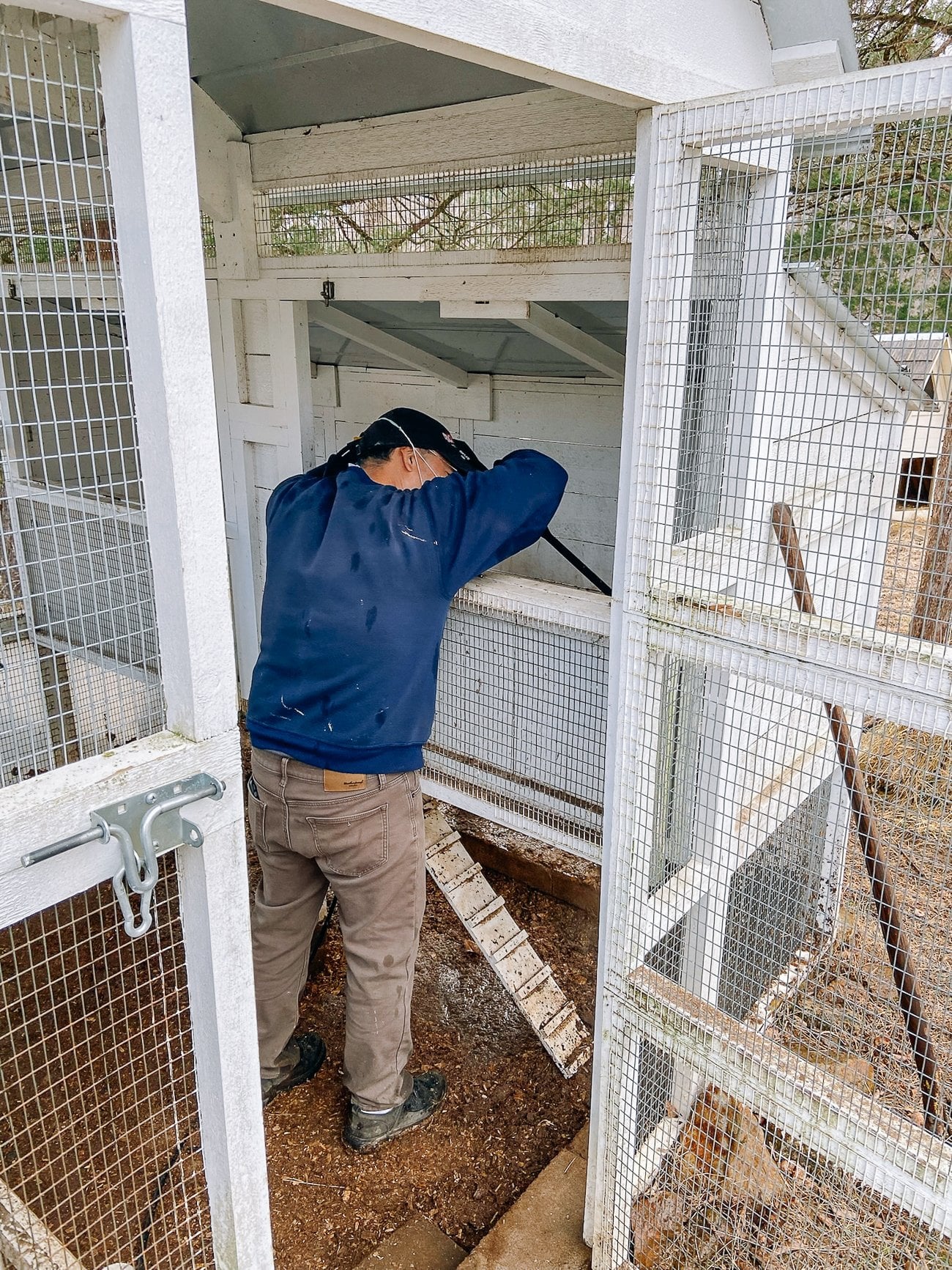 power washing chicken coop