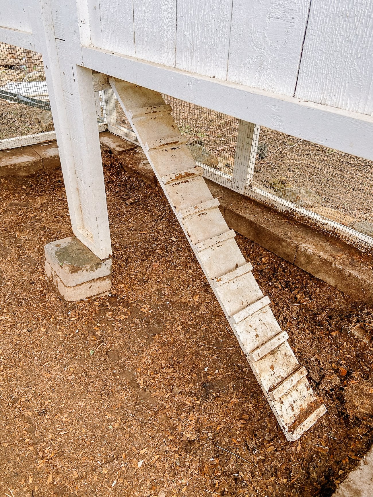 cleaned chicken coop walkway