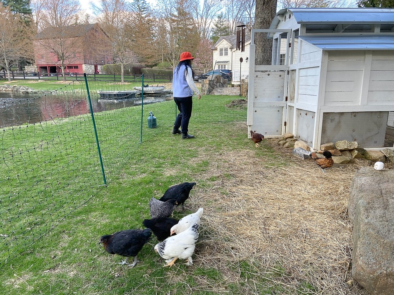 kaitlin near chicken coop