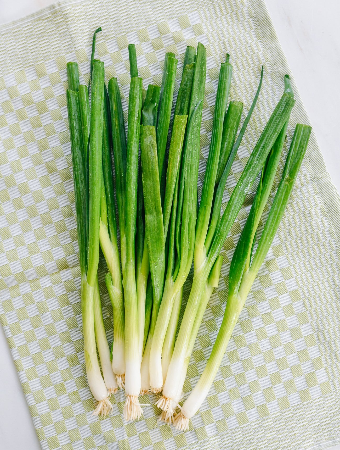 bunch of scallions