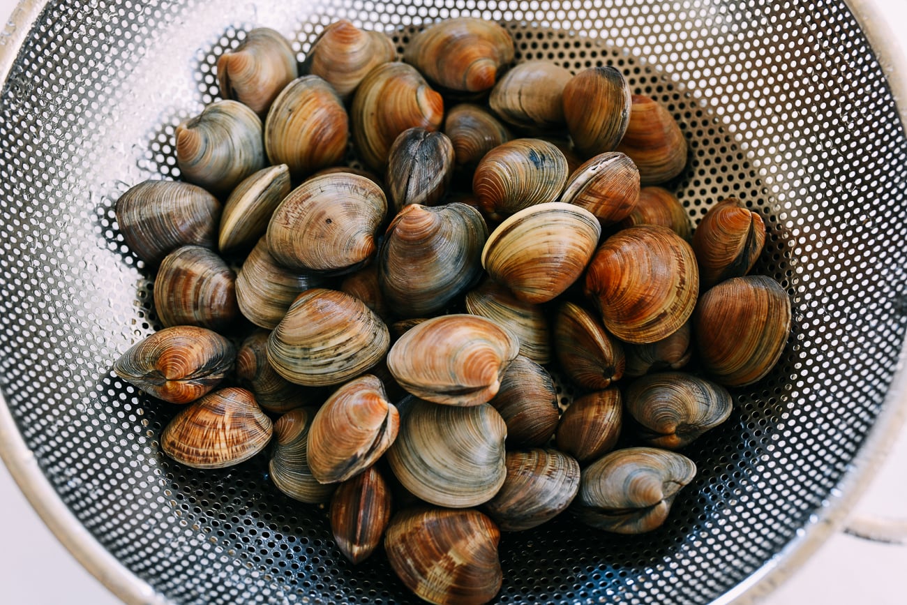 scrubbed clams in colander