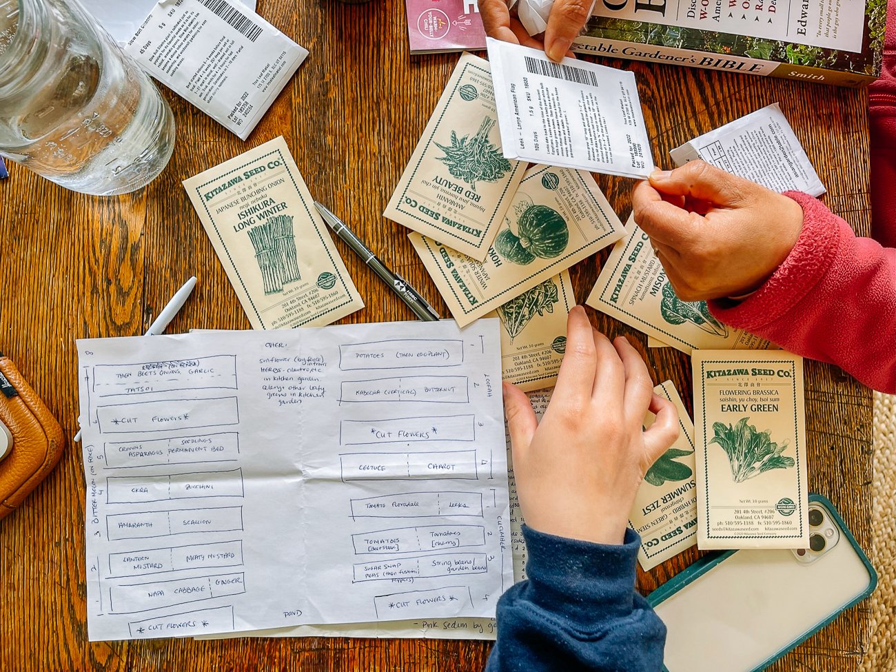 Planning vegetable garden