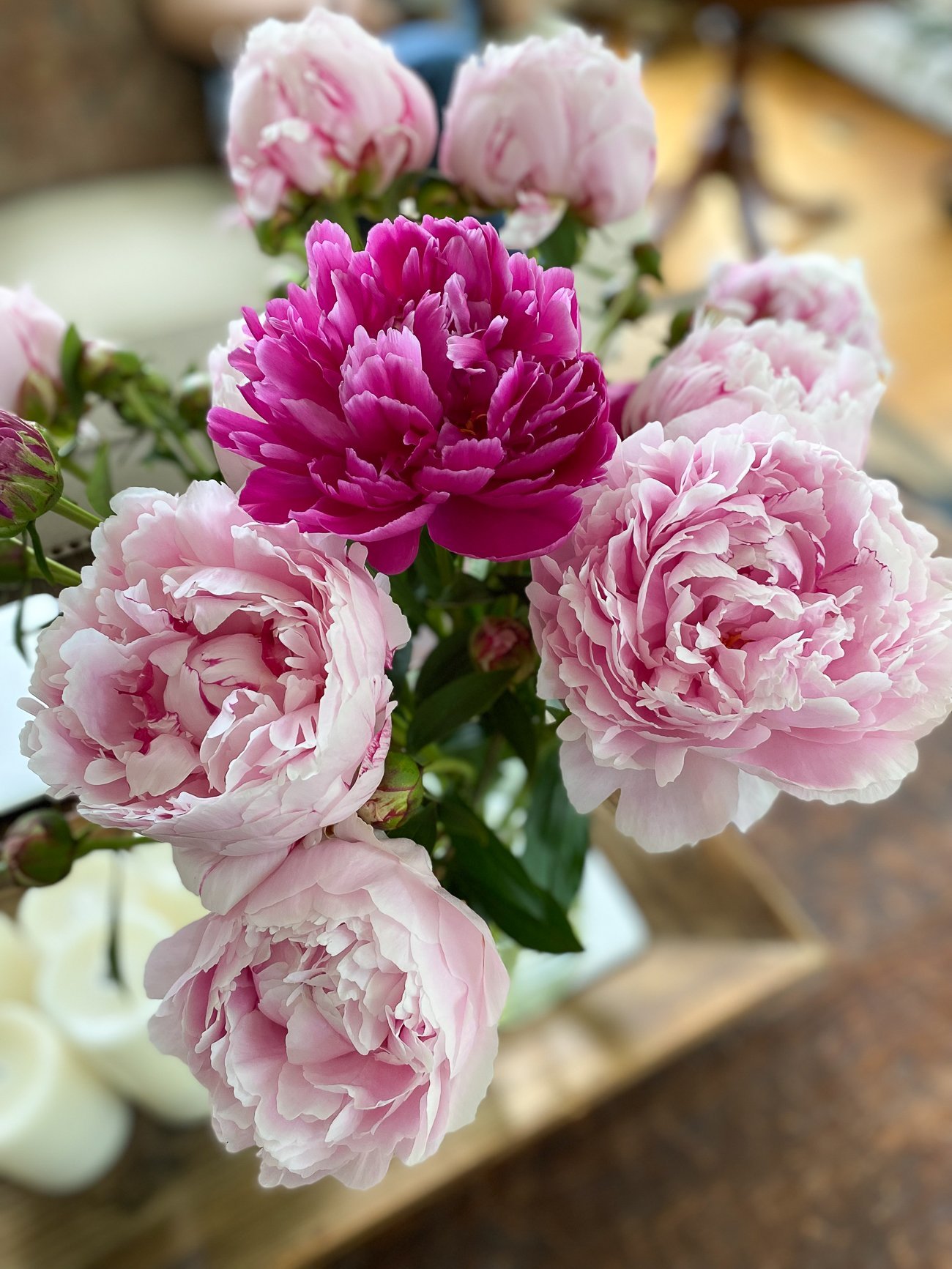 peonies in vase
