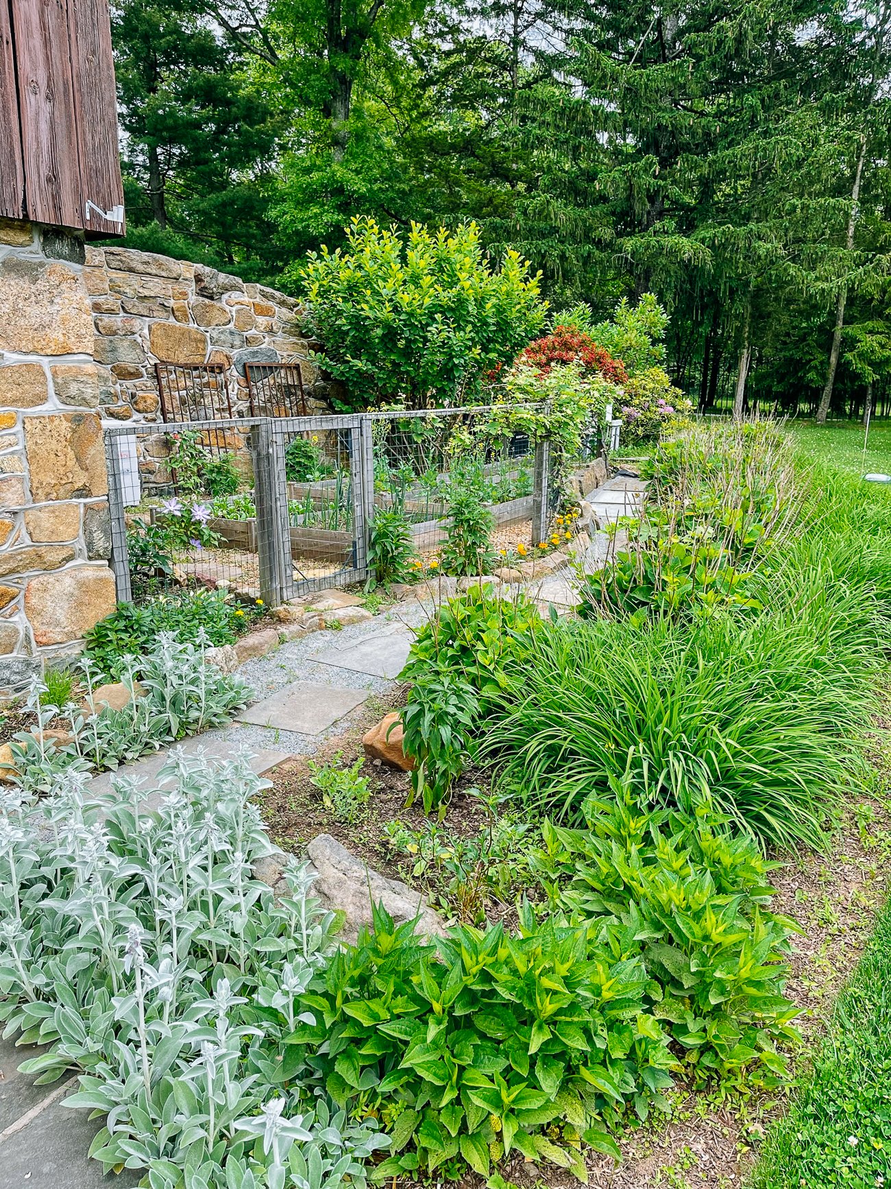 vegetable garden