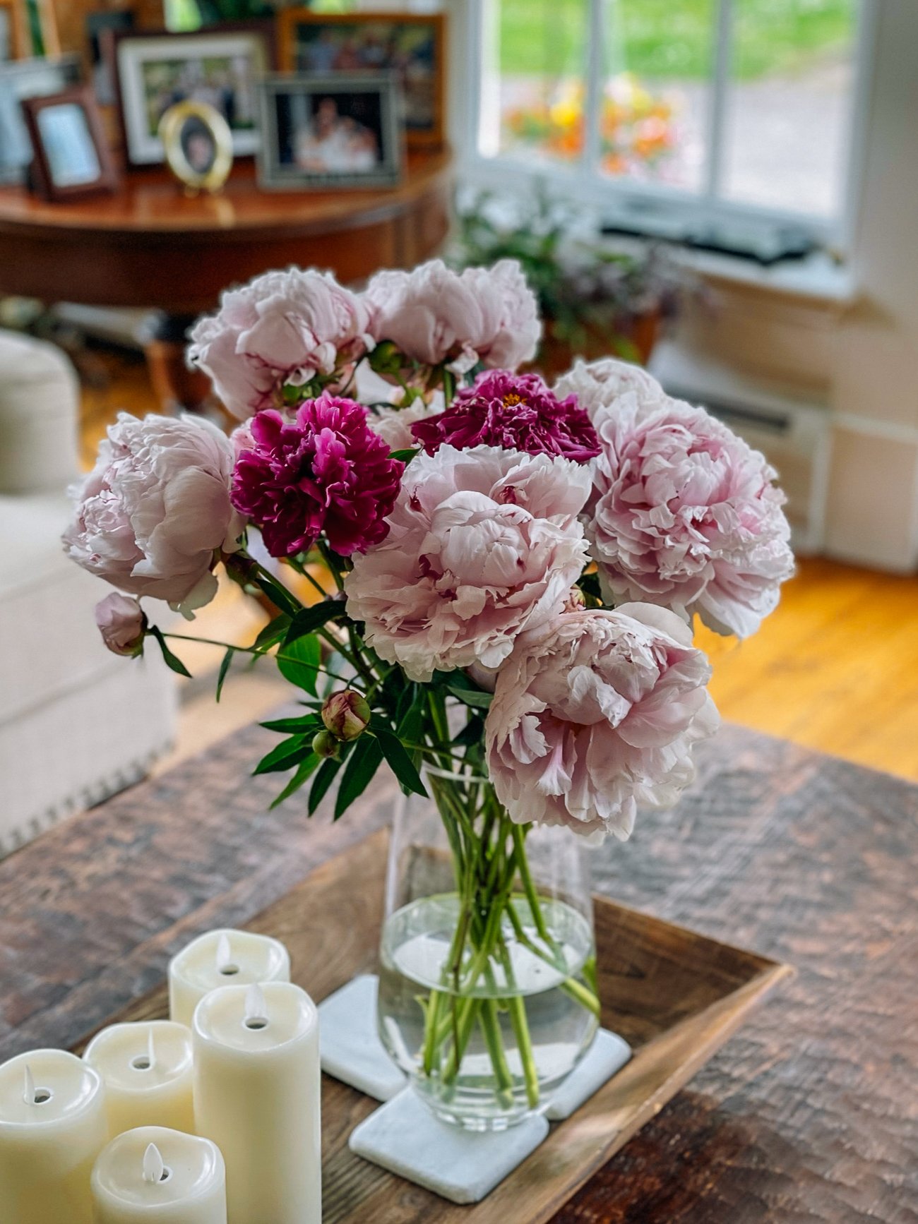 cut peonies in vase