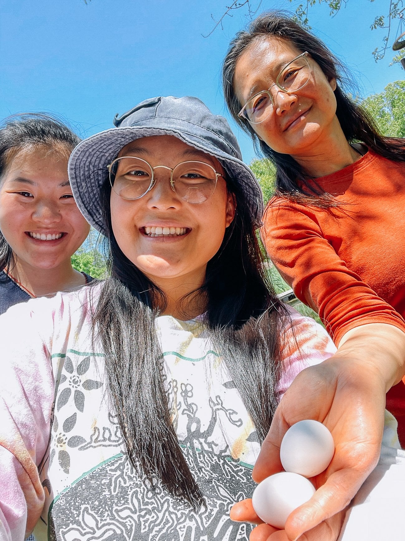 Woks of Life with Chicken Egg