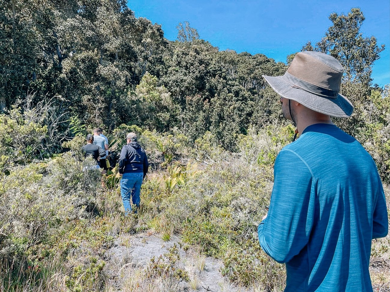 planting a koa tree on Hualalai