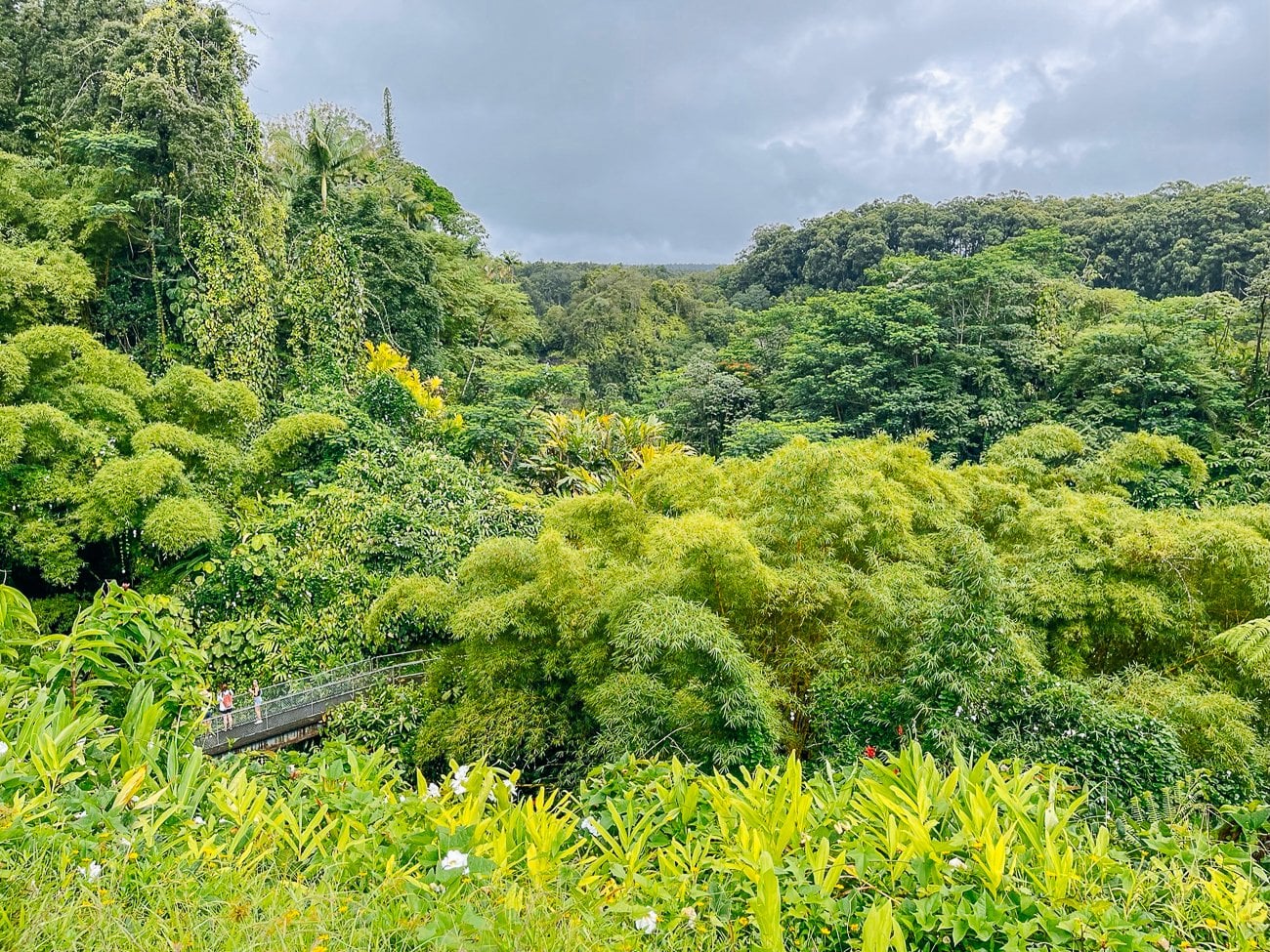 akaka falls path