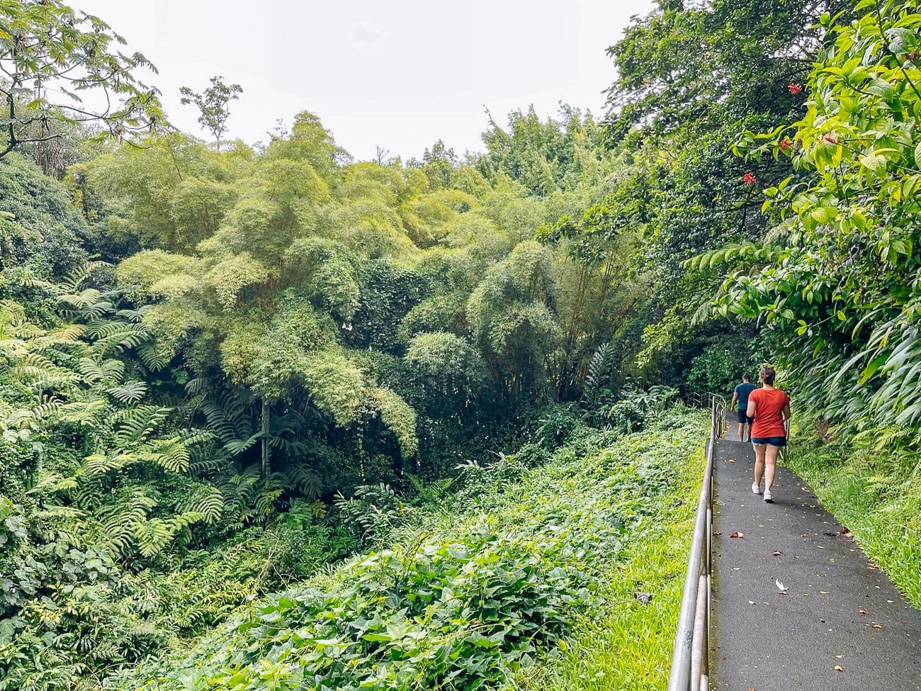 walking path to akaka falls