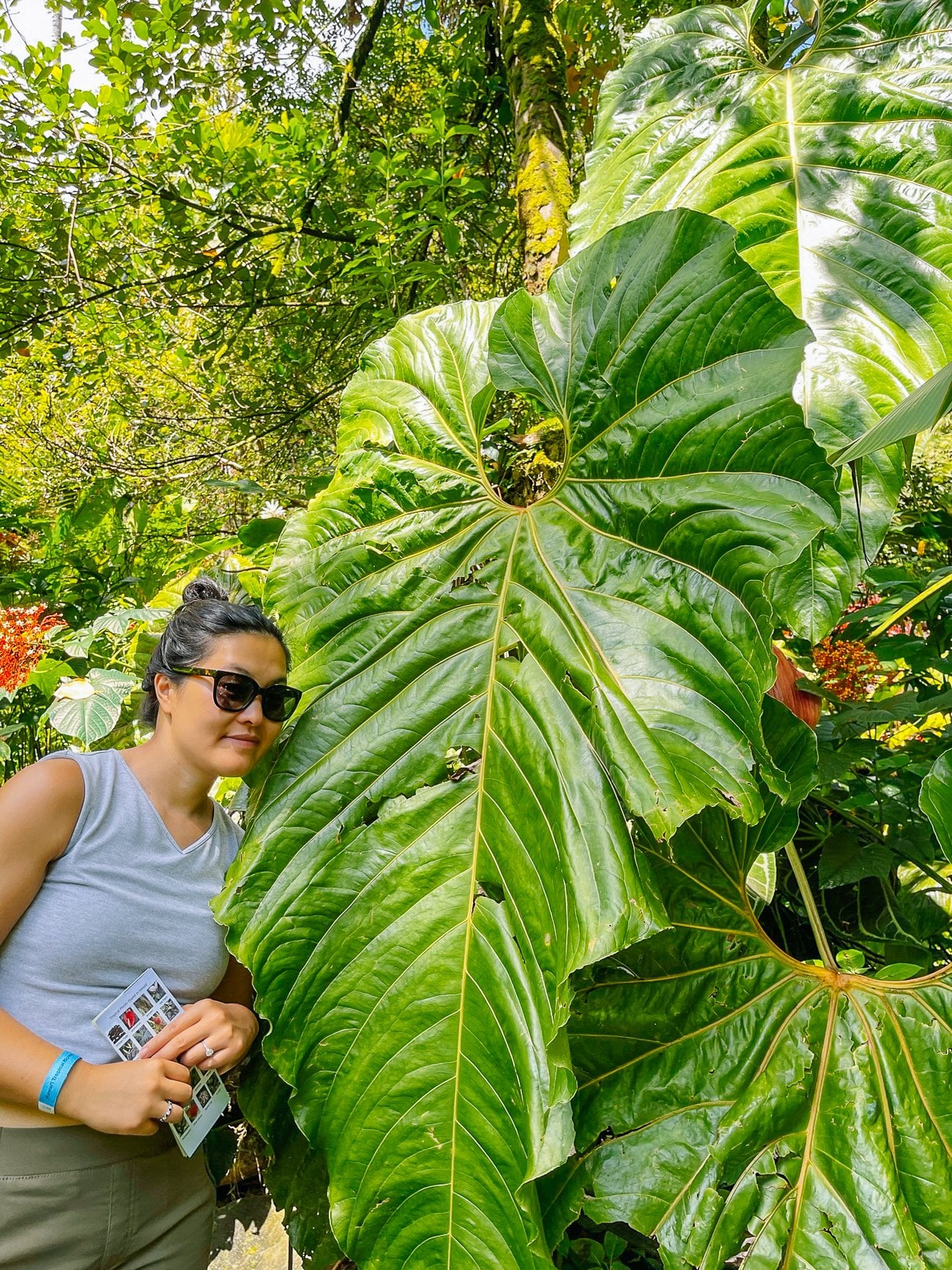 Sarah next to giant tropical leaf