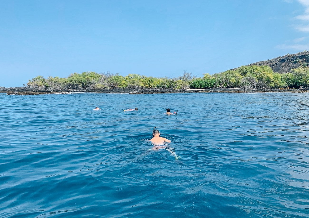 snorkeling in Kealakekua Bay